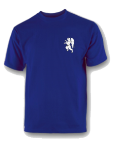 Neue Vereinskleidung - T-Shirt vorne
