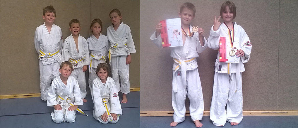 3 Medaillen bei Baulöwenpokal 2014